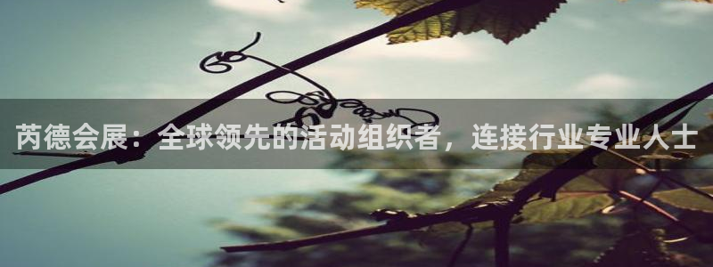 果博公司会员怎么开户